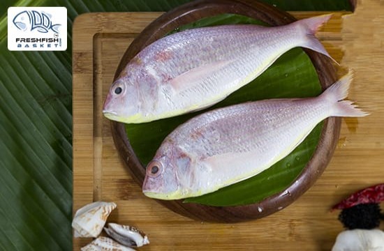 buy salmon fish online in kolkata  kolkata meat - delivering freshness